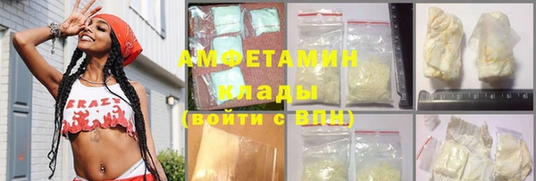 индика Надым