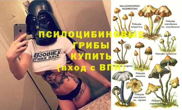 стафф Абдулино