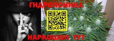 дмт Краснодар