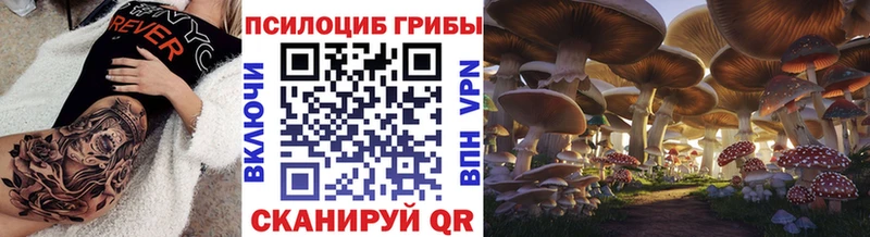 Галлюциногенные грибы Psilocybe  ОМГ ОМГ онион  Кандалакша 