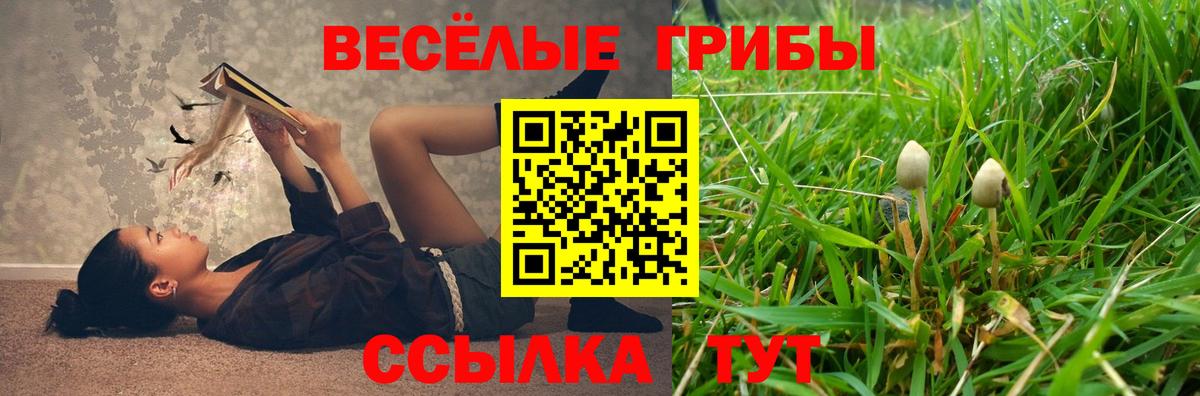 A-PVP Кандалакша