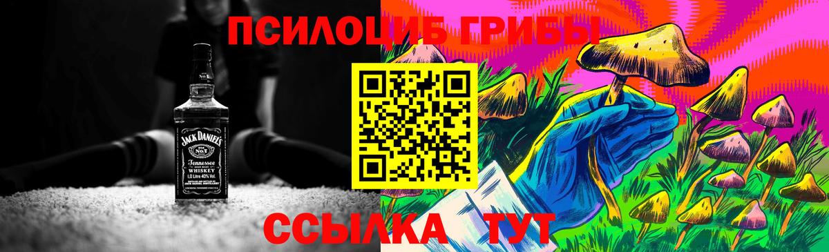 Галлюциногенные грибы Psilocybine cubensis  Вход с VPN  Кандалакша 